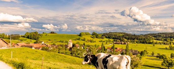 Rent a furnished room in the canton of Solothurn