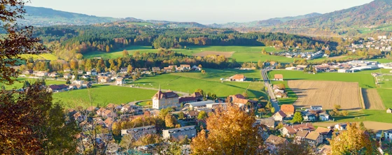 Rent a furnished room in the canton of Thurgau