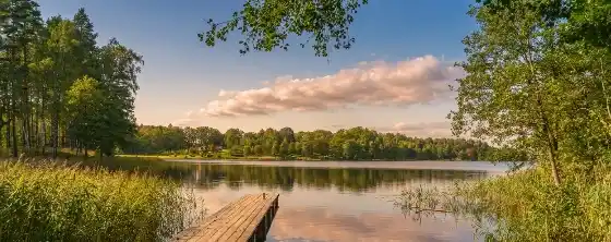 Affordable shared rooms in Uster