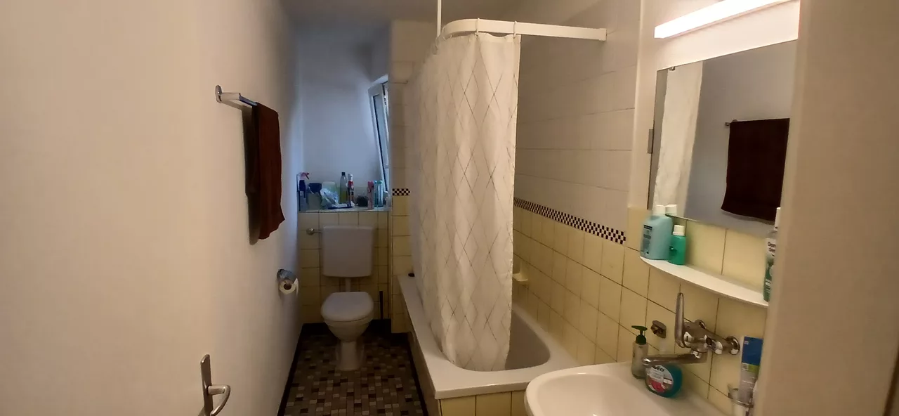 Large View Bathroom