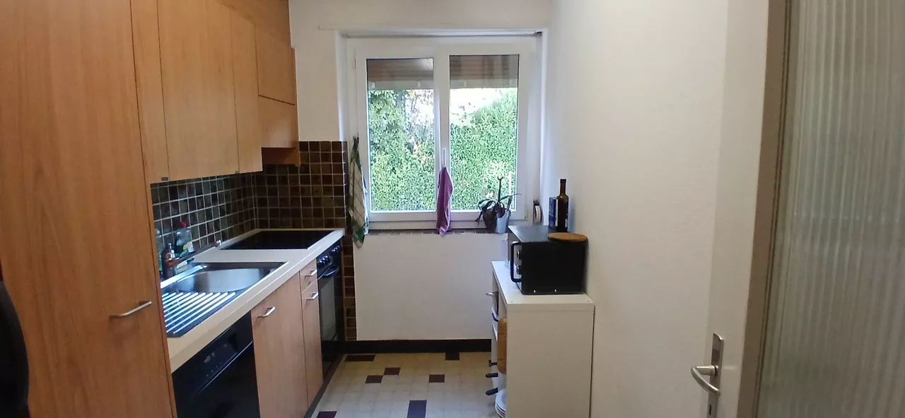 Large View Kitchen