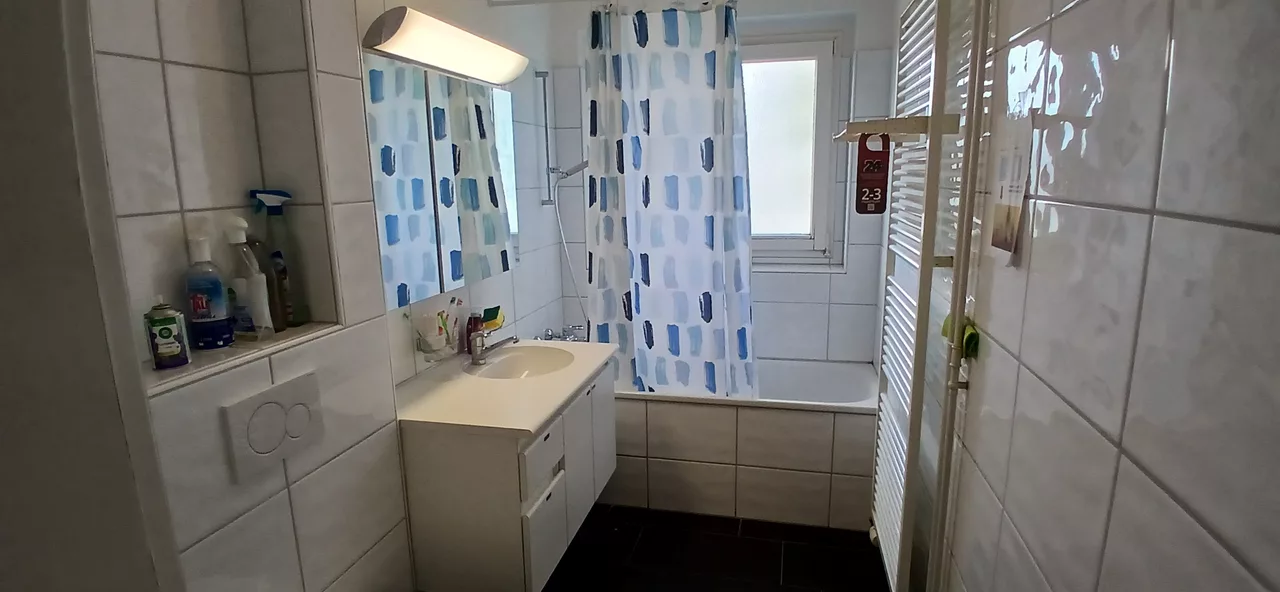 Grossansicht Badezimmer