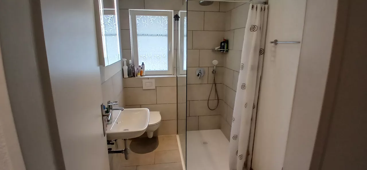 Vue agrandie de la salle de bain