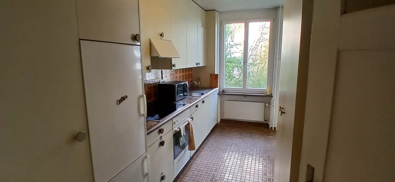 Grossansicht Küche