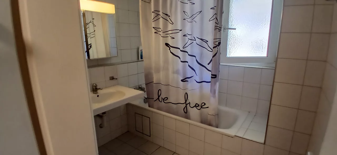 Vue agrandie de la salle de bain