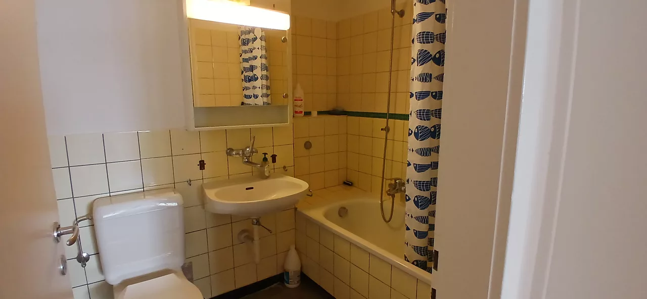 Grossansicht Badezimmer