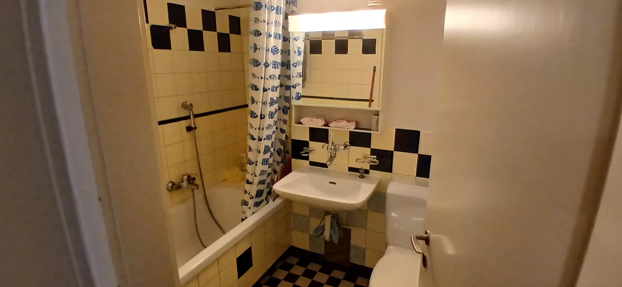 Vue agrandie de la salle de bain