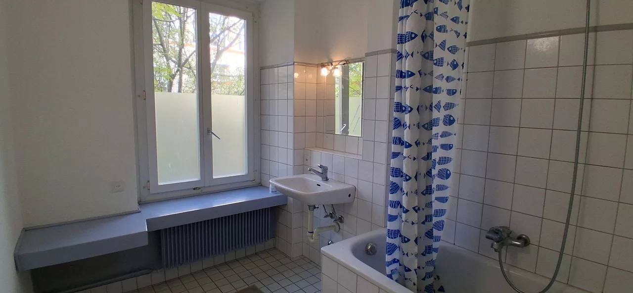 Large View Bathroom