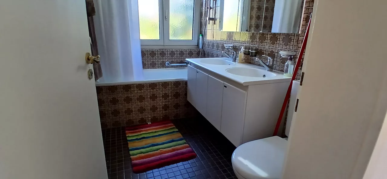 Large View Bathroom