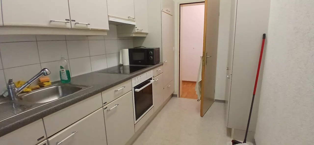 Grossansicht Küche
