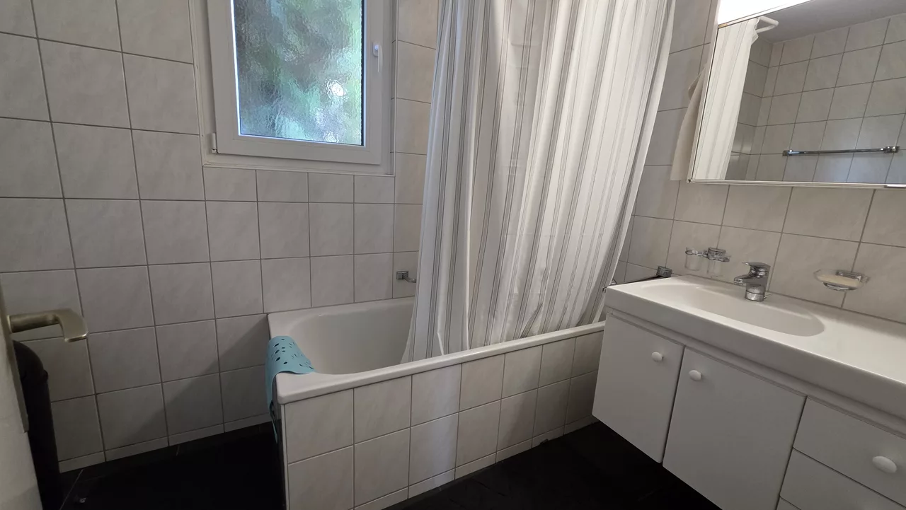 Vue agrandie de la salle de bain