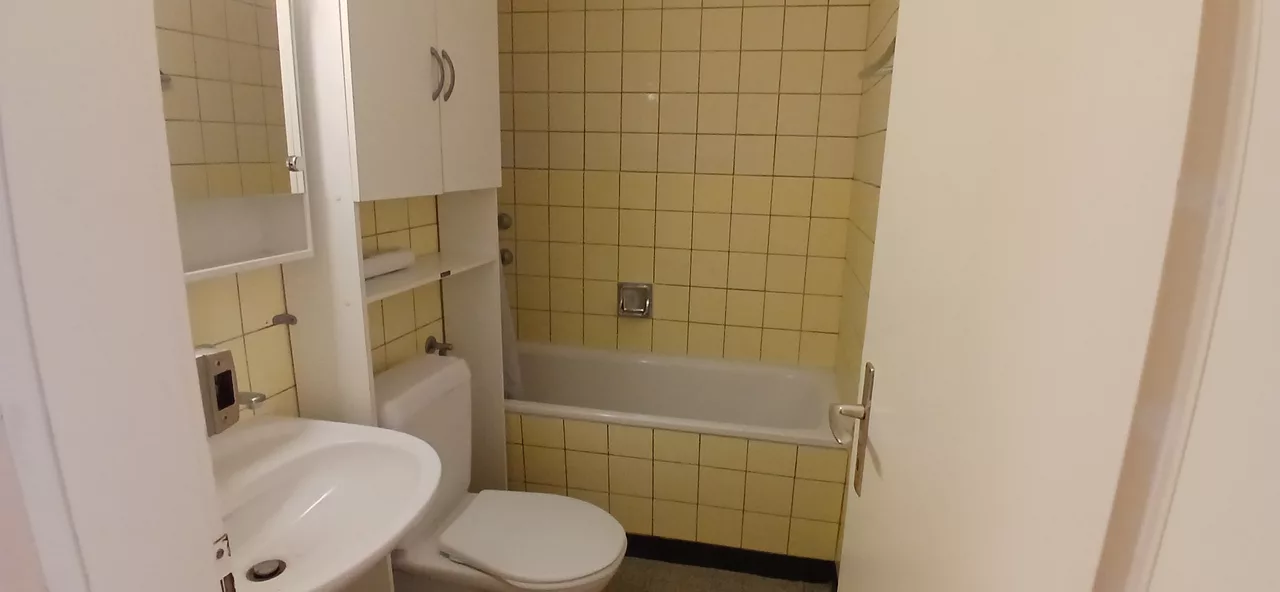 Large View Bathroom