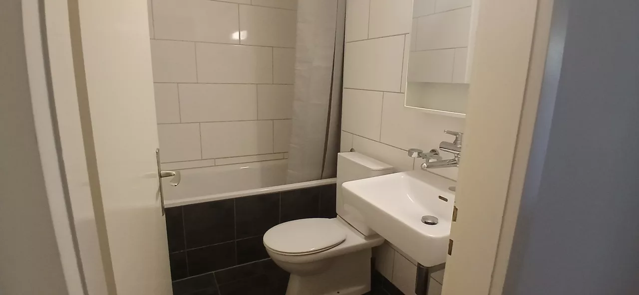 Large View Bathroom
