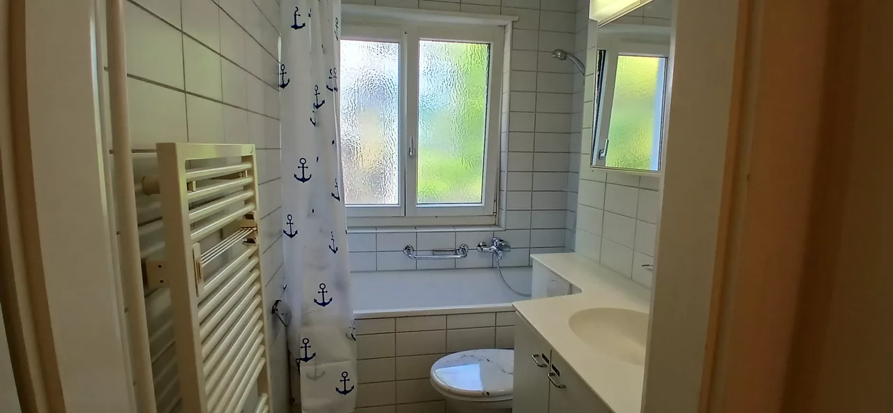Large View Bathroom