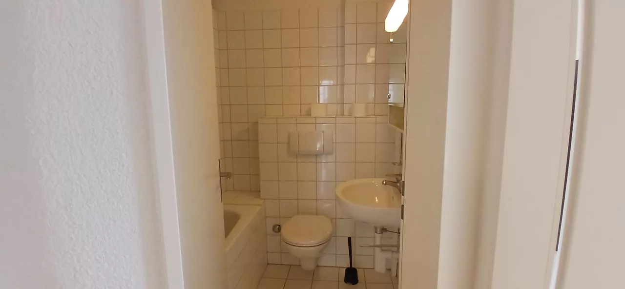 Large View Bathroom