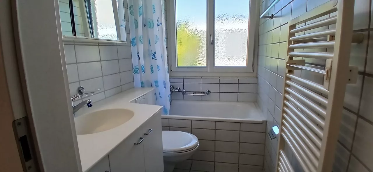 Grossansicht Badezimmer