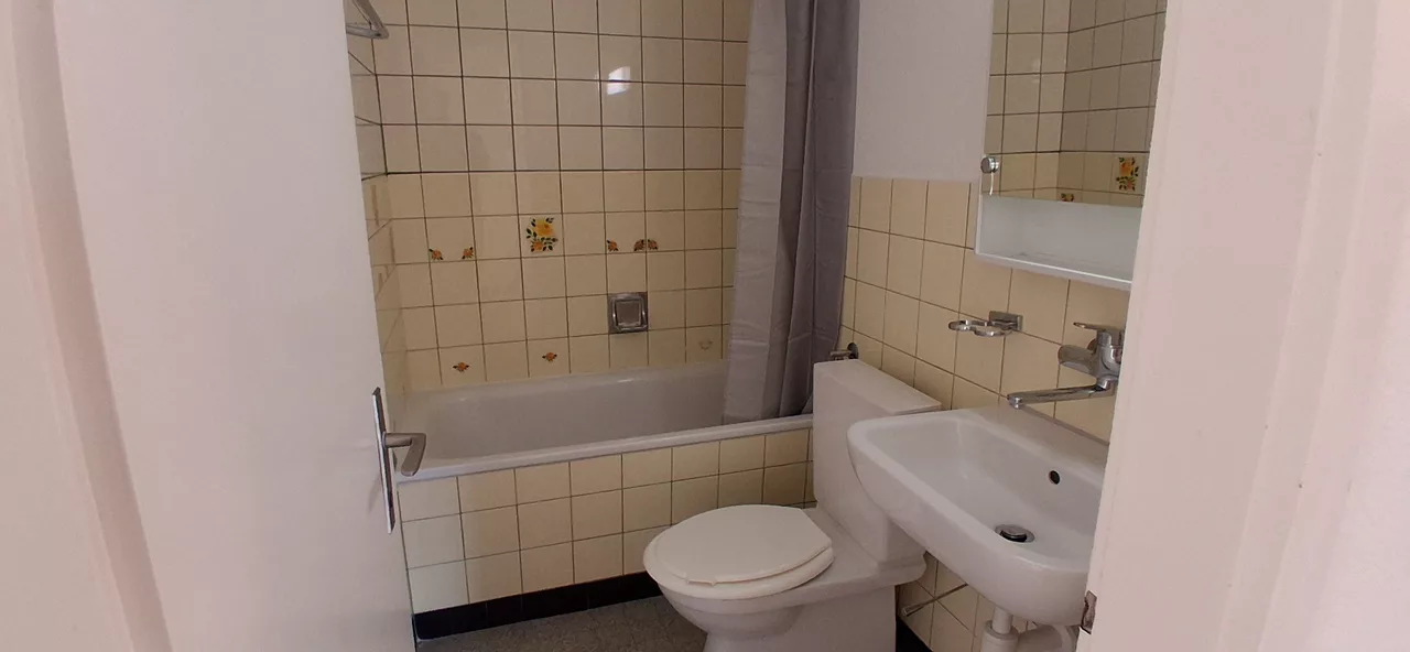 Large View Bathroom