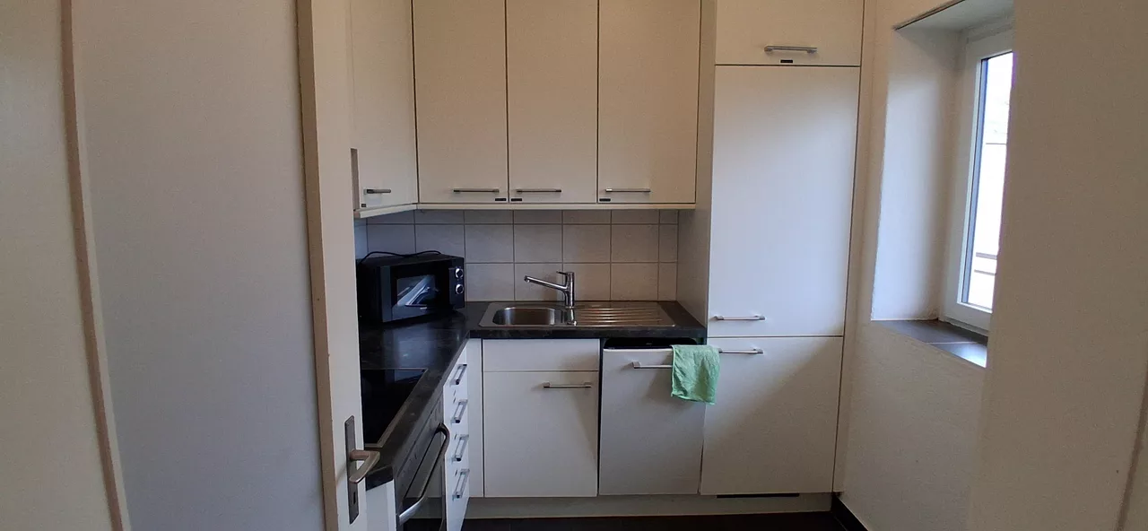 Large View Kitchen