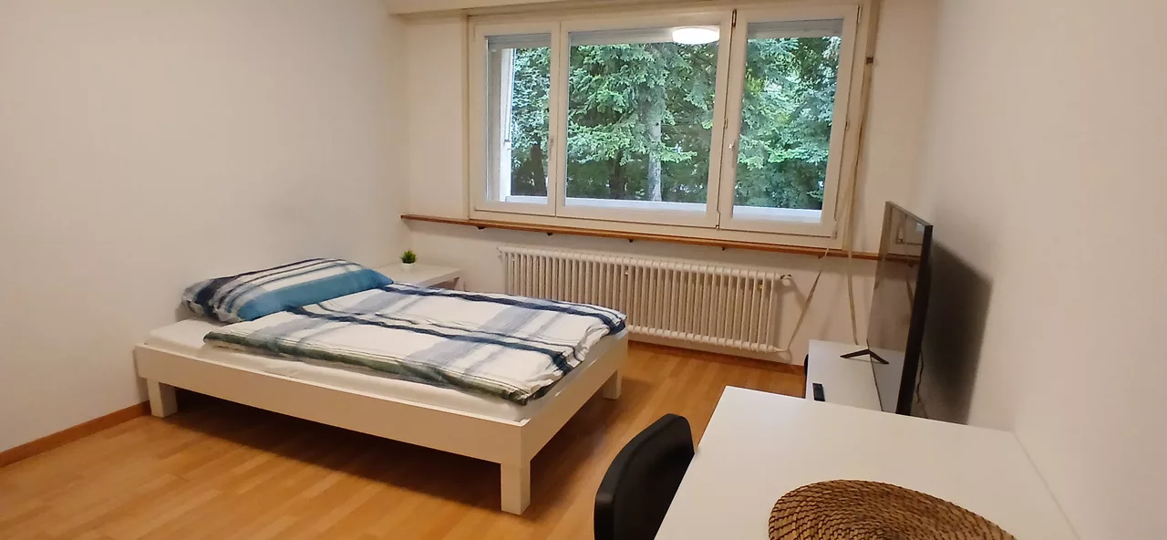 Grossansicht Schlafzimmer