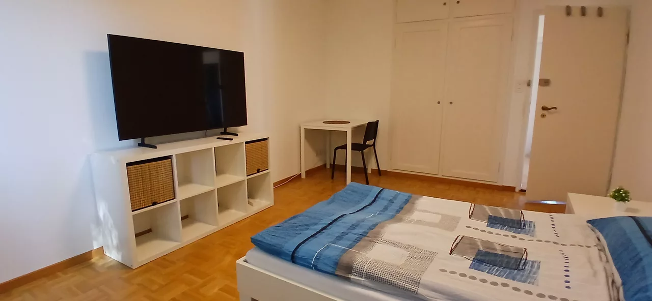 Furnished Room in Zürich rent