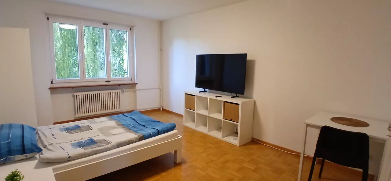 Large View Bedroom