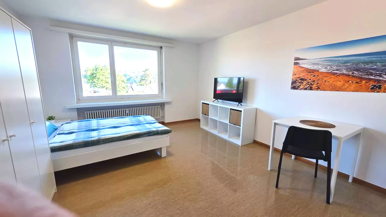 Furnished Room in Laufenburg rent