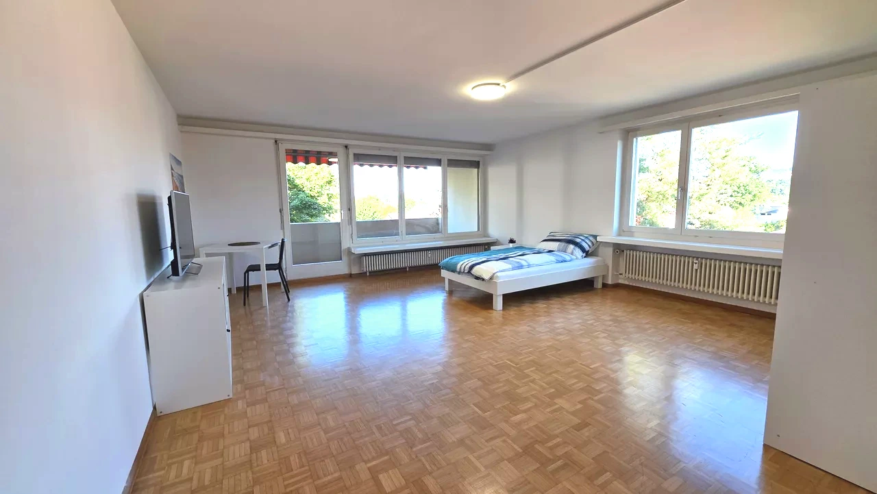 Furnished Room in Laufenburg rent