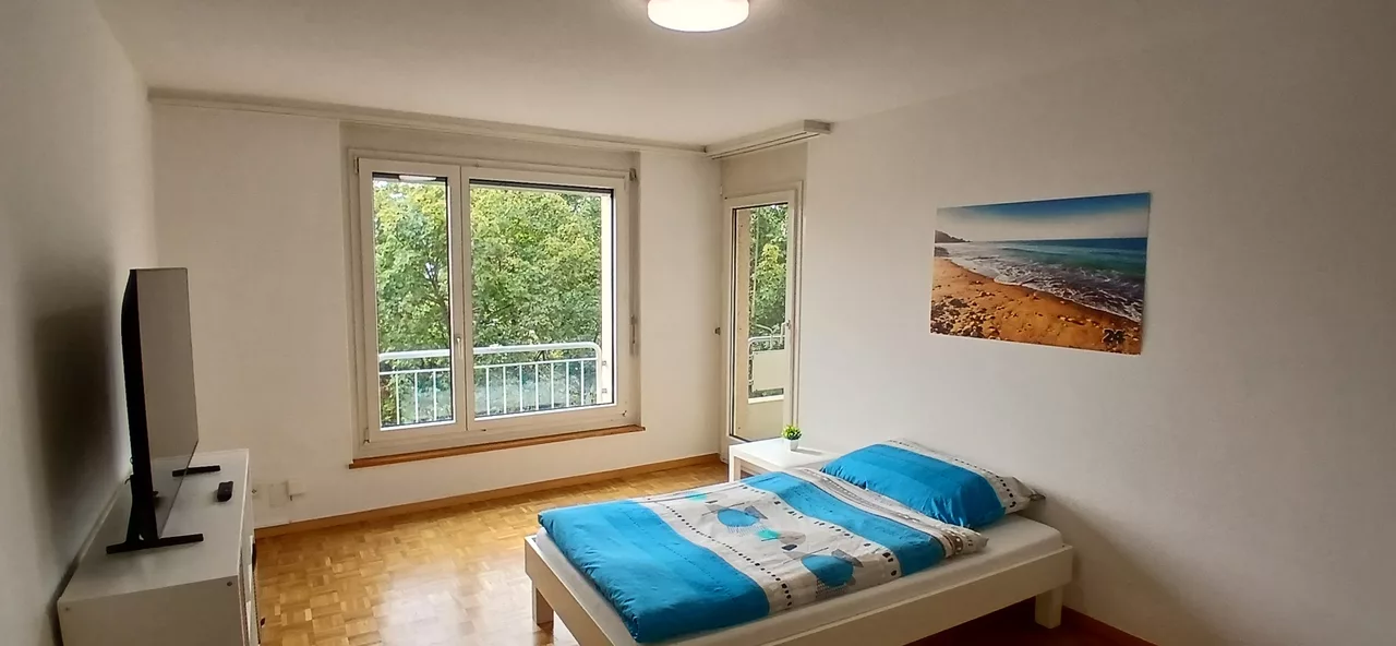 Large View Bedroom
