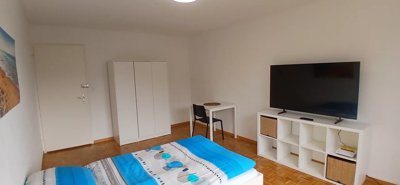 Large View Bedroom