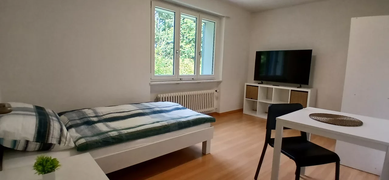 Furnished Room in Zürich rent