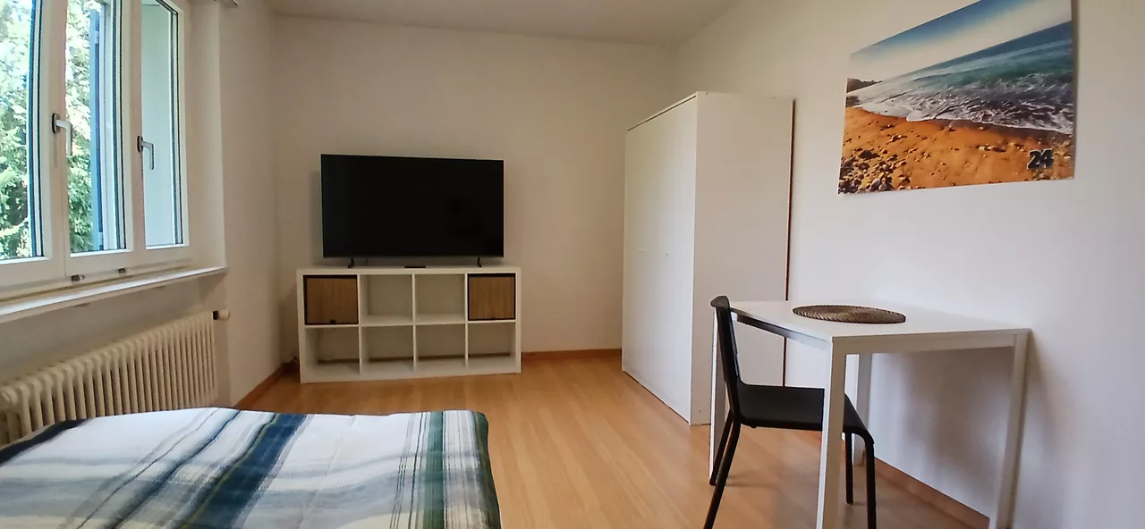 Large View Bedroom