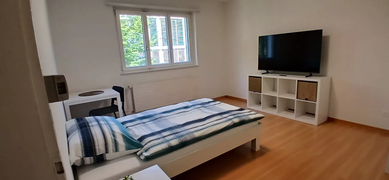 Furnished Room in Zürich rent