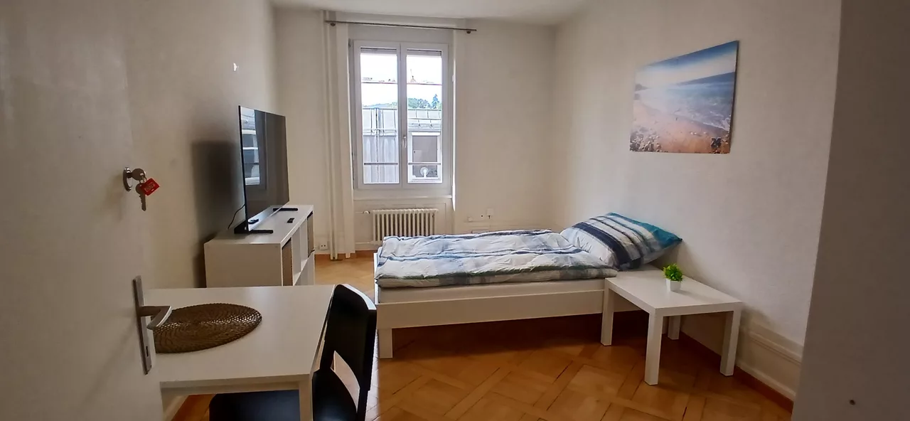 Furnished Room in Zürich rent