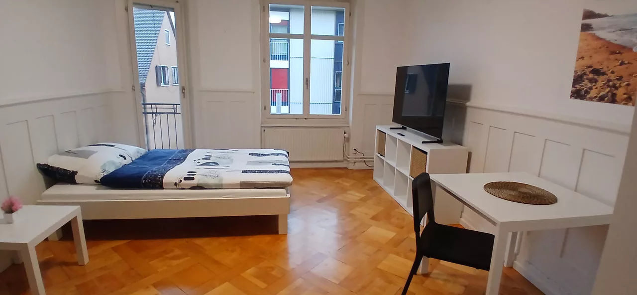 Furnished Room in Zürich rent