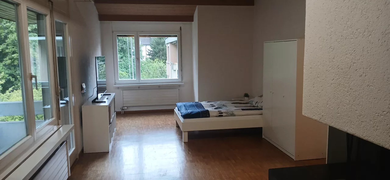 Furnished Room in Zürich rent