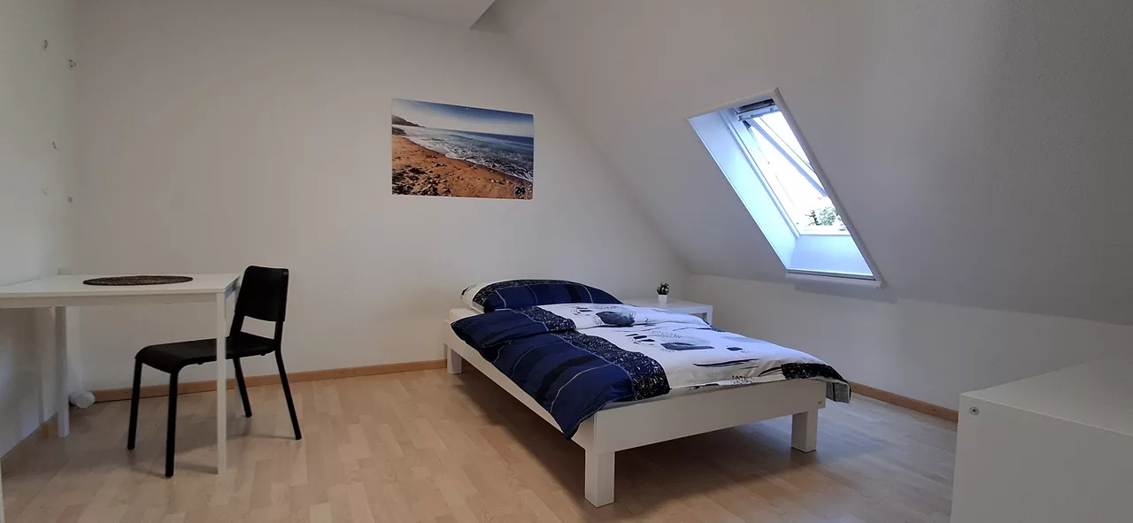 Furnished Room in Zürich rent