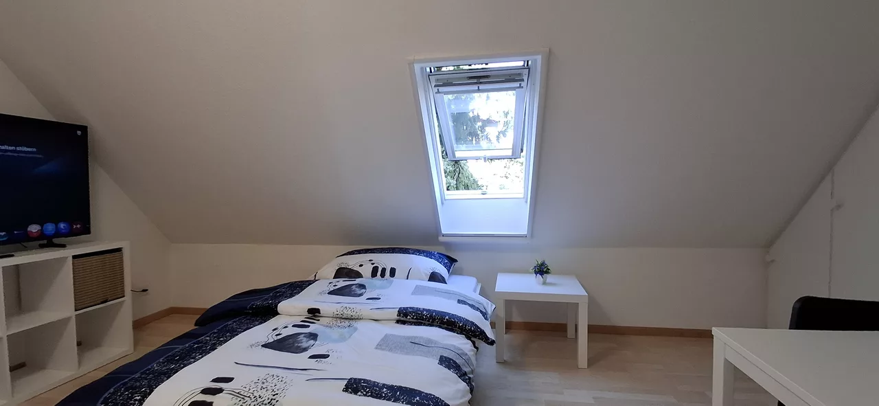 Large View Bedroom