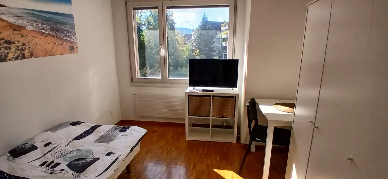 Grossansicht Schlafzimmer