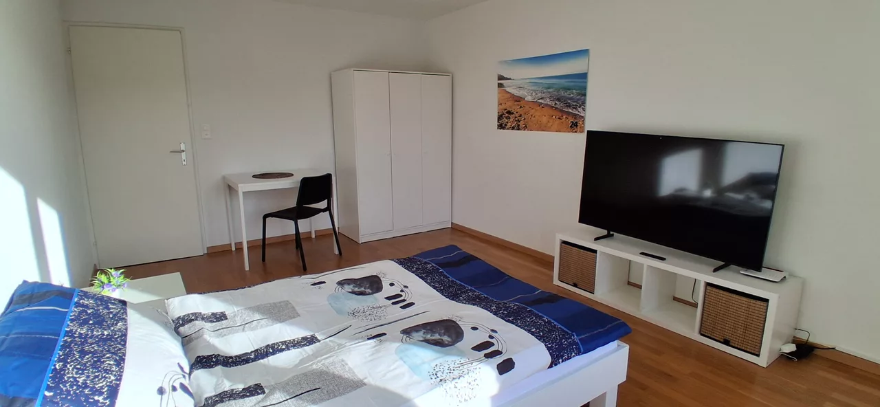 Large View Bedroom