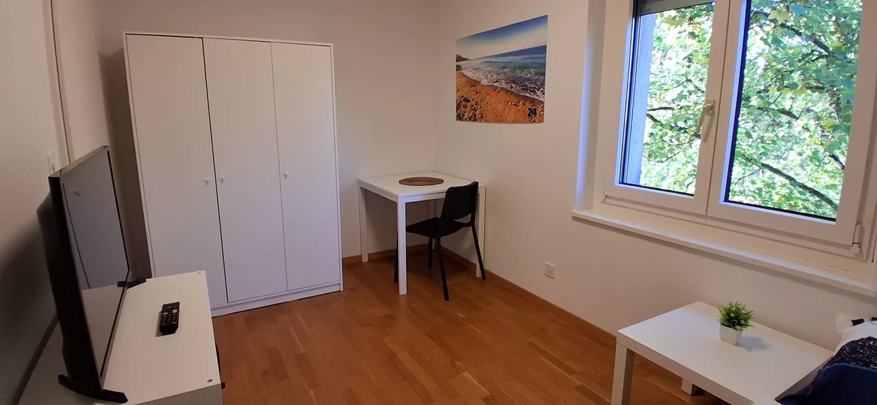 Large View Bedroom