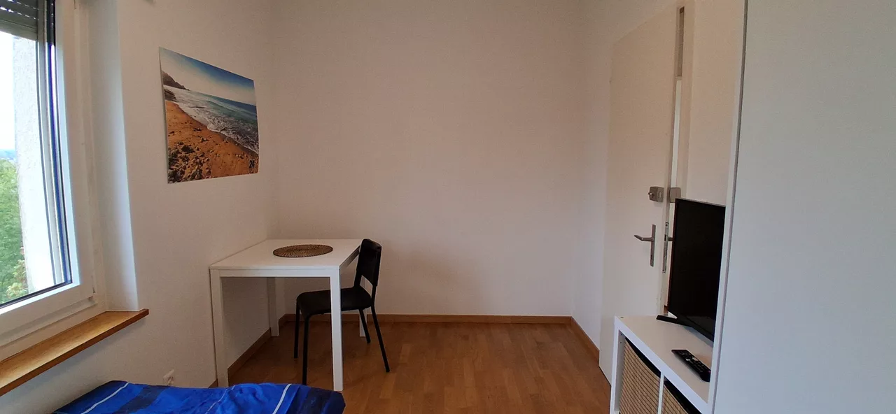 Large View Bedroom