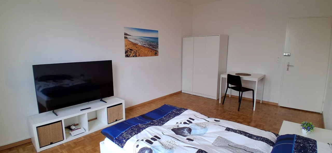 Large View Bedroom