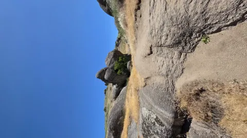 Modern Kitchen with oven, fridge and microwave