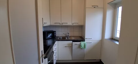 Modern Kitchen with oven, fridge and microwave